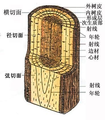 香港正版资料全年资料