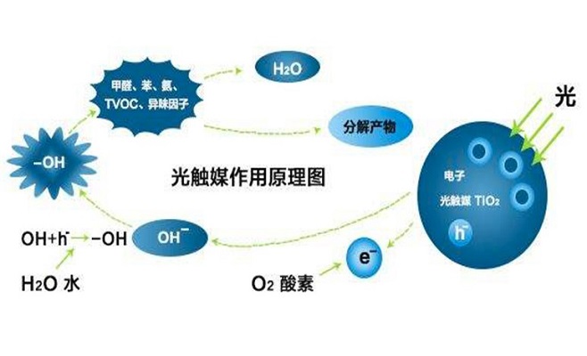 香港正版资料全年资料